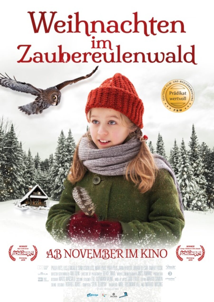 Weihnachten 2022 Filme Fernsehen Weihnachten im Zaubereulenwald Filme.de